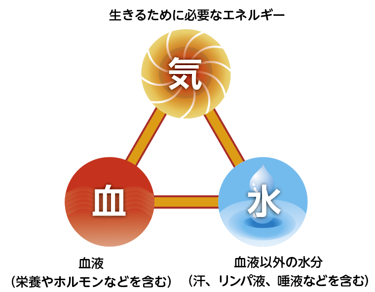 資料1　人間の身体