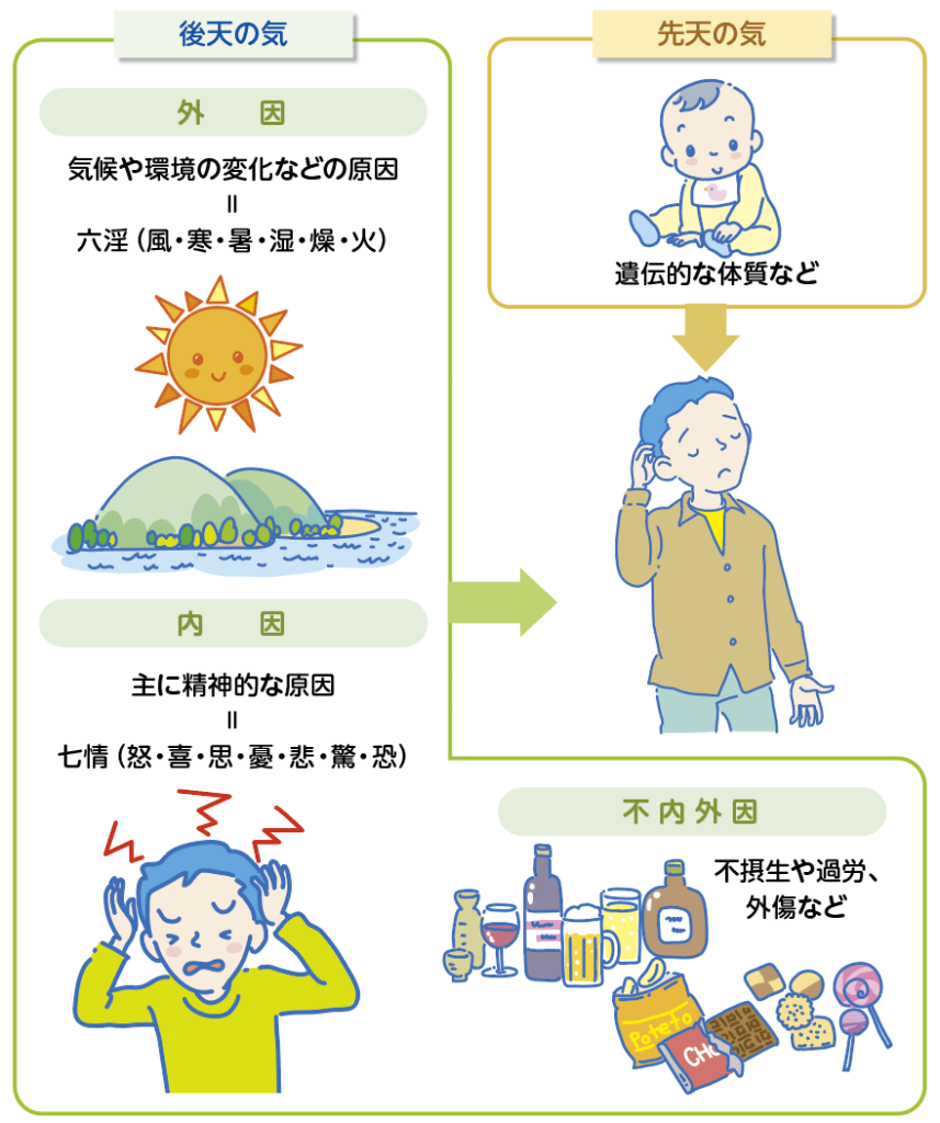 資料2　病気の原因