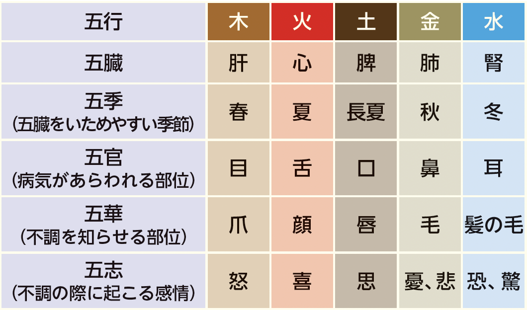 資料３　五行色体表 