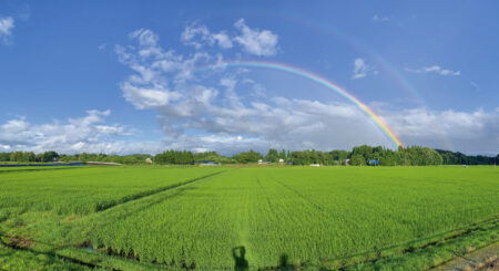 雫石町は「虹の似合うまち」。雨上がりの田園に二重の虹がかかった（雫石町提供）